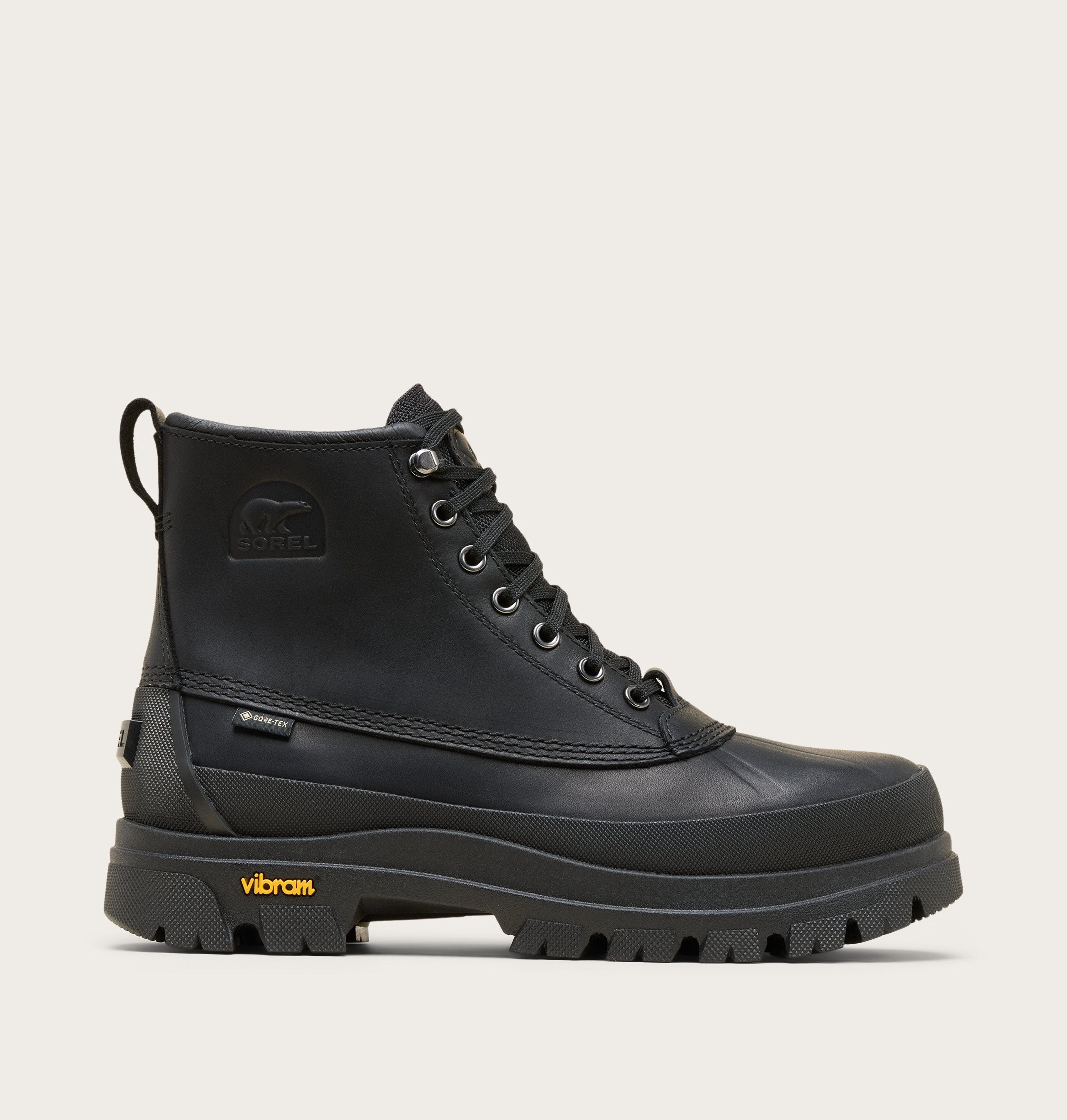 Daystorm Horizon? GTX Men's Boot