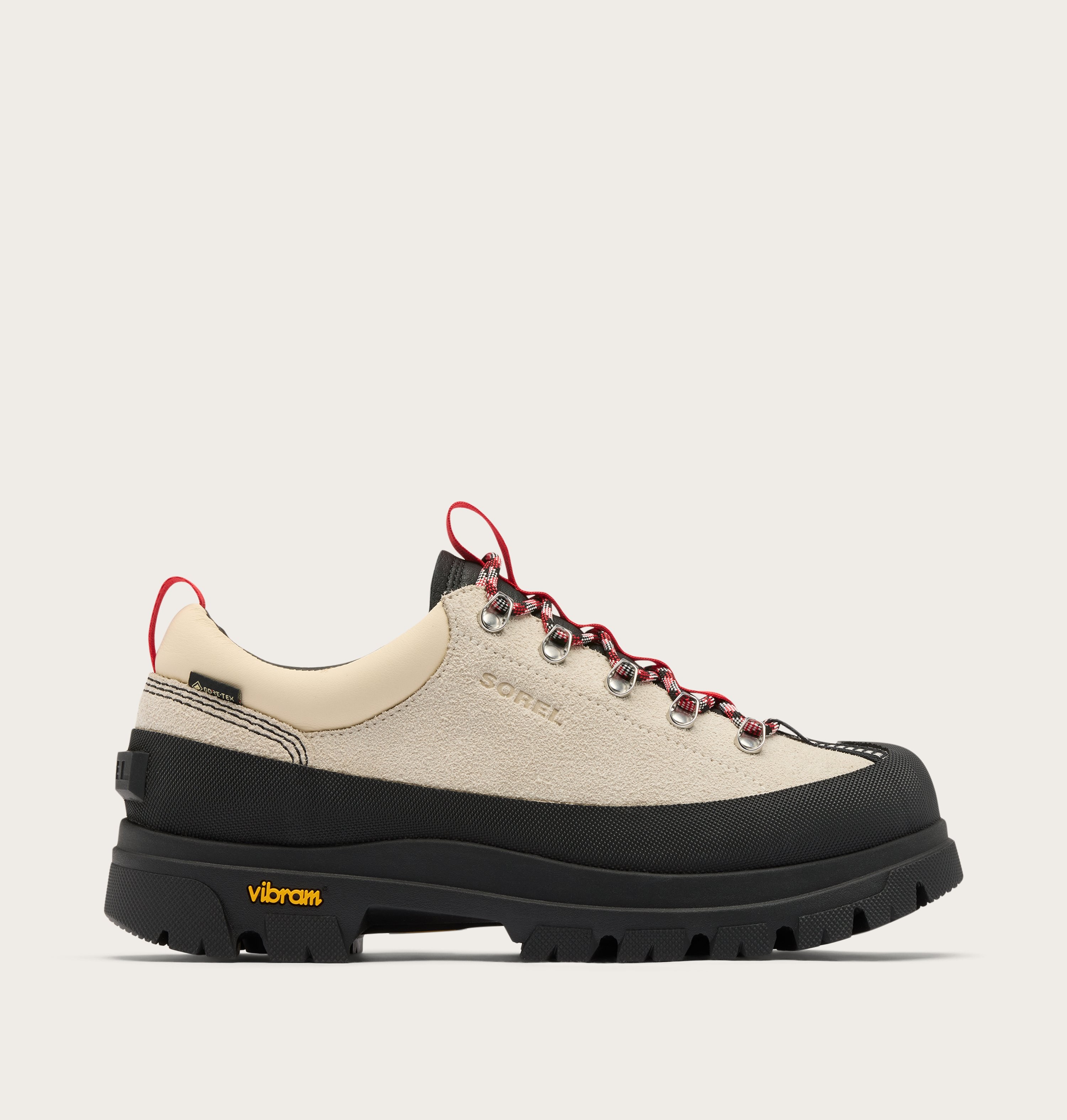Daystorm? Nomad GTX Men's Shoe